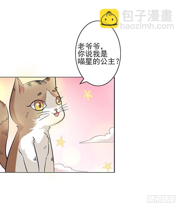 《双喵图腾》第008话 第4页
