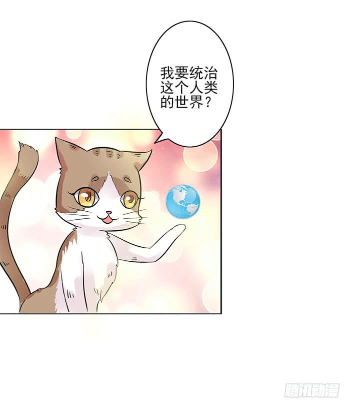《双喵图腾》第008话 第6页