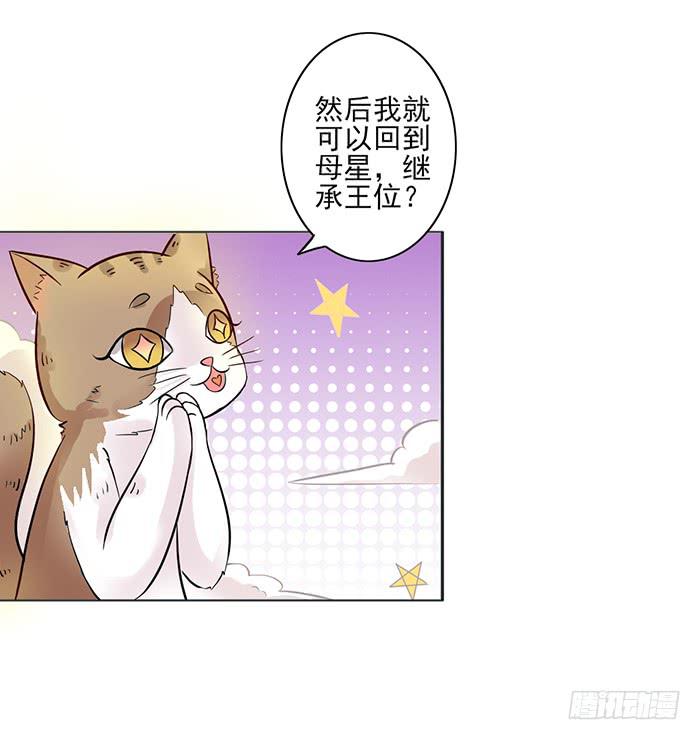 《双喵图腾》第008话 第8页