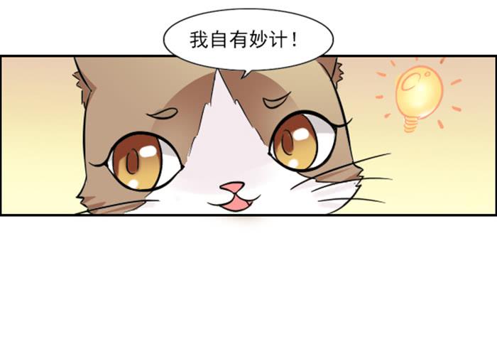 《双喵图腾》第009话 第19页