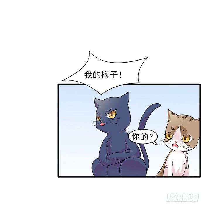 《双喵图腾》第011话 第11页