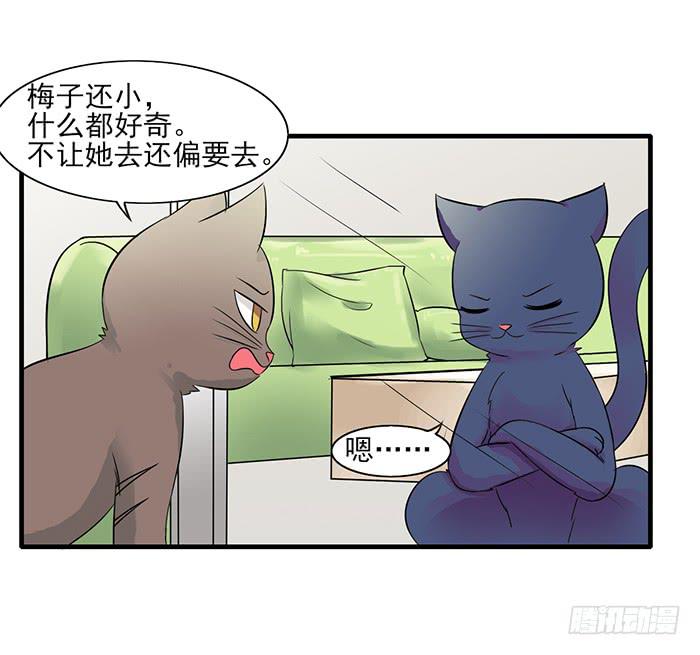 《双喵图腾》第011话 第12页