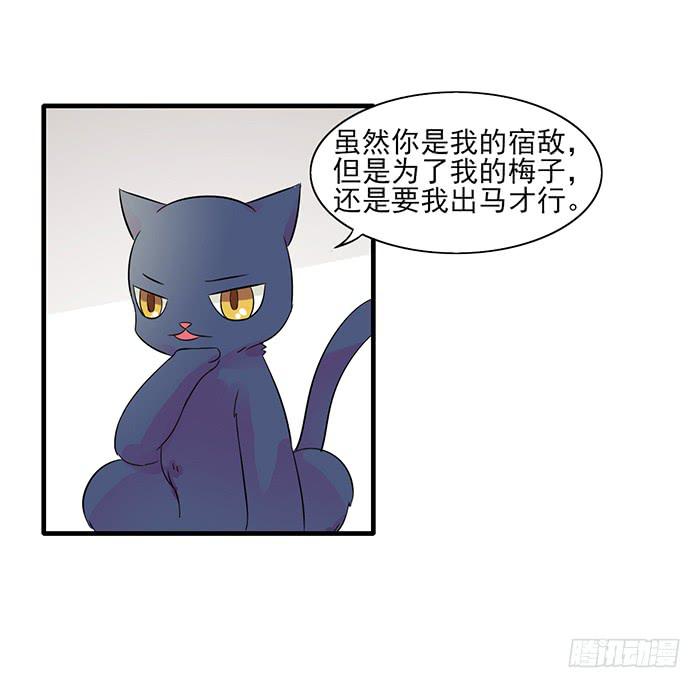 《双喵图腾》第011话 第13页