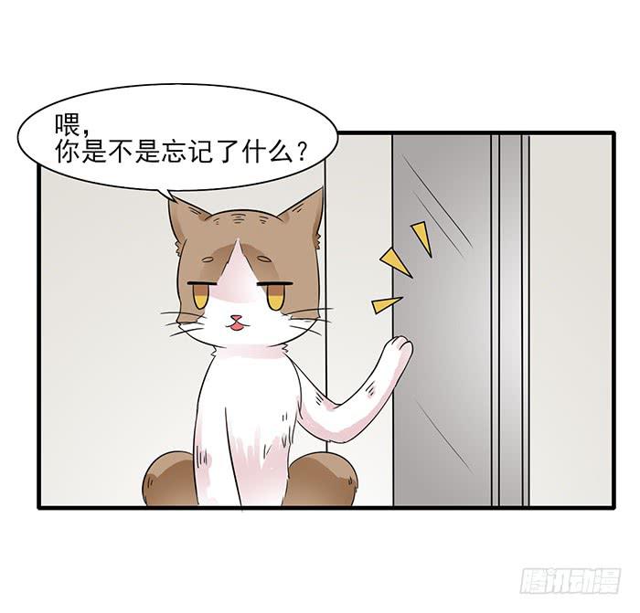 《双喵图腾》第011话 第14页