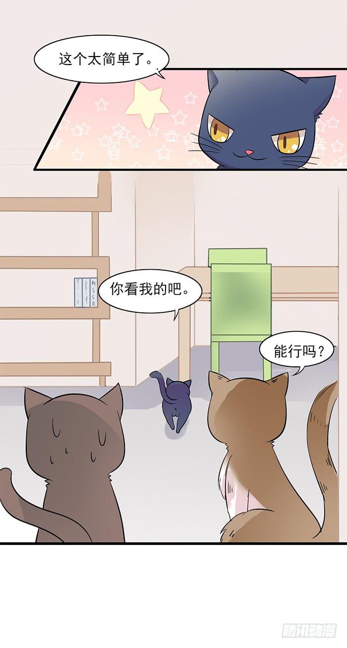 《双喵图腾》第011话 第15页