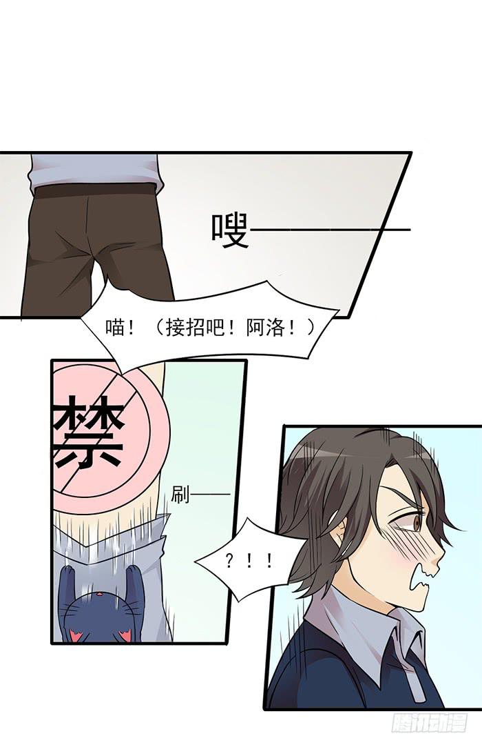 《双喵图腾》第011话 第18页