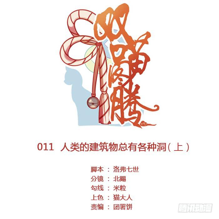 《双喵图腾》第011话 第1页