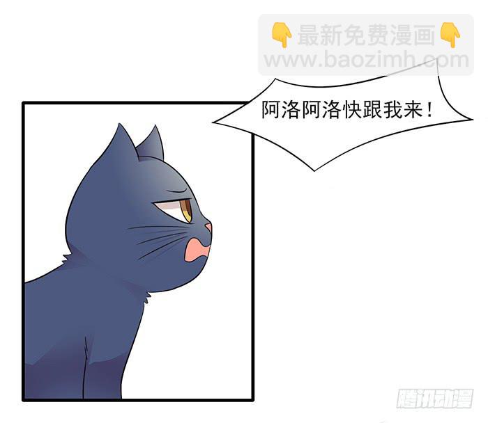 《双喵图腾》第011话 第21页