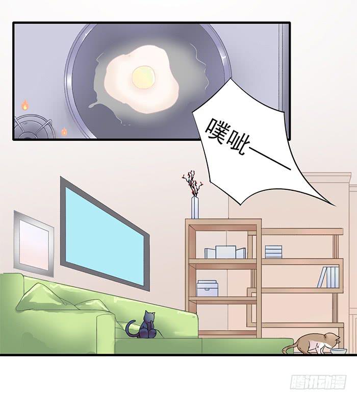 《双喵图腾》第011话 第2页