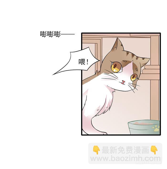 《双喵图腾》第011话 第3页