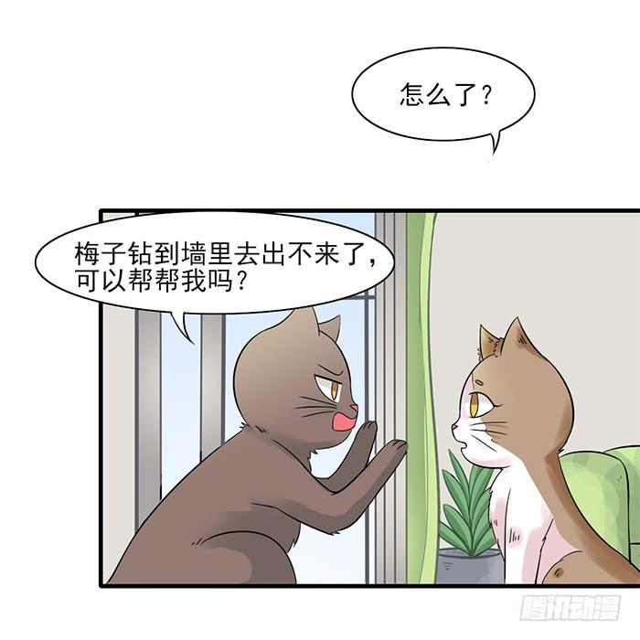 《双喵图腾》第011话 第5页