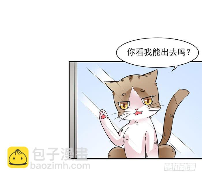 《双喵图腾》第011话 第6页