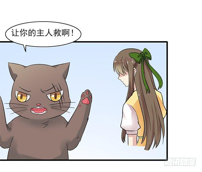 《双喵图腾》第011话 第7页