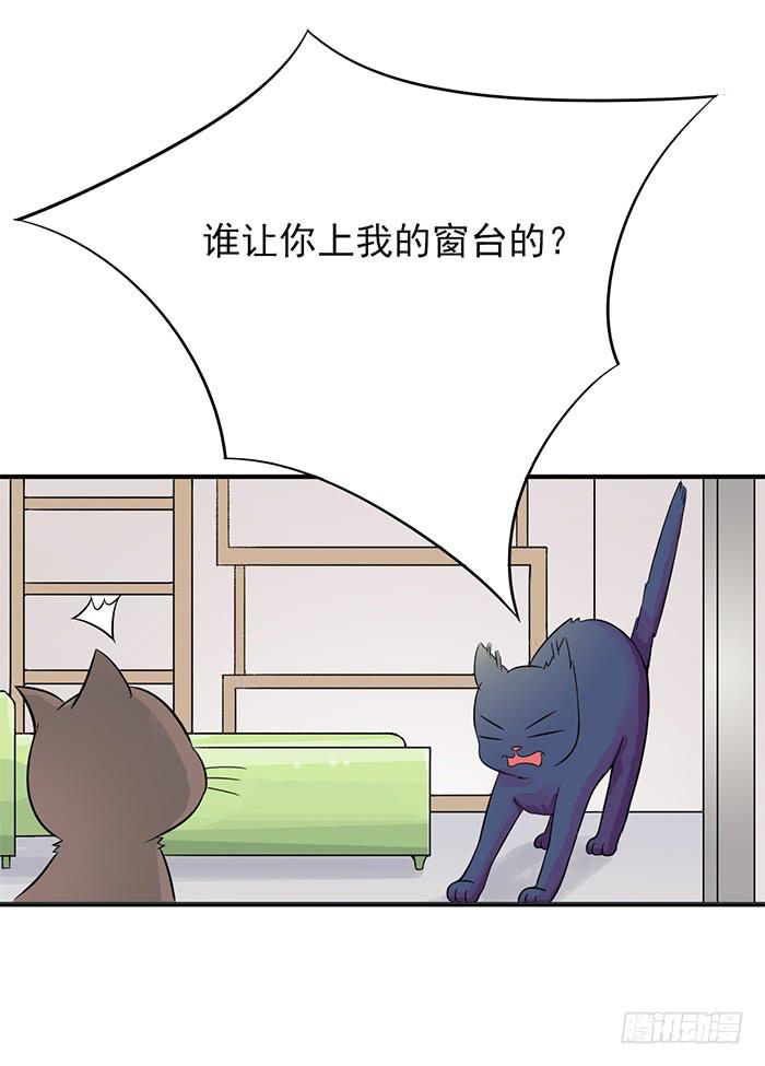 《双喵图腾》第011话 第8页