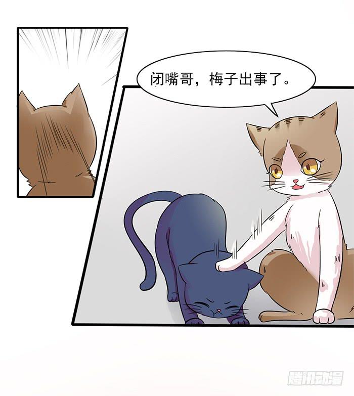 《双喵图腾》第011话 第9页