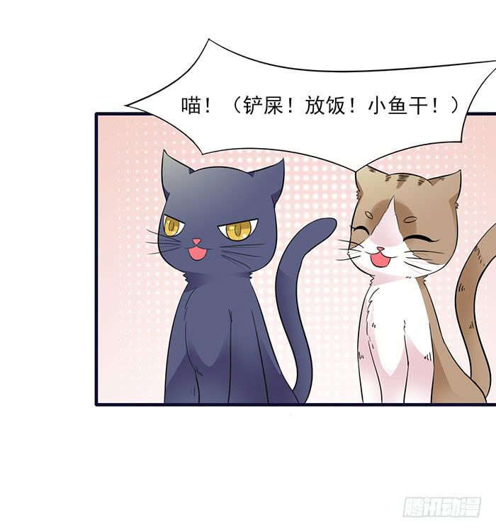 《双喵图腾》第010话 第17页