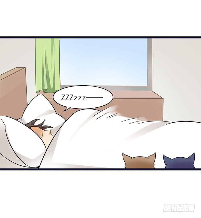 《双喵图腾》第010话 第18页