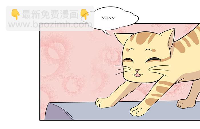 《双喵图腾》第015话 第10页