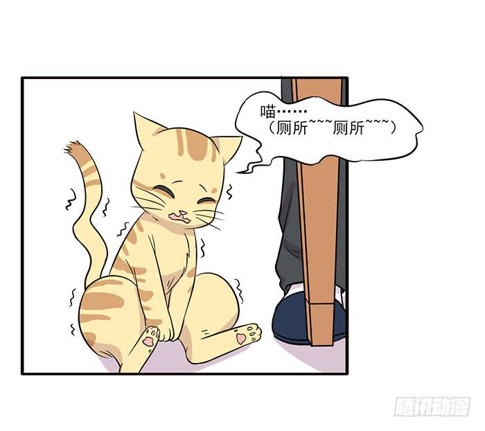 《双喵图腾》第015话 第14页