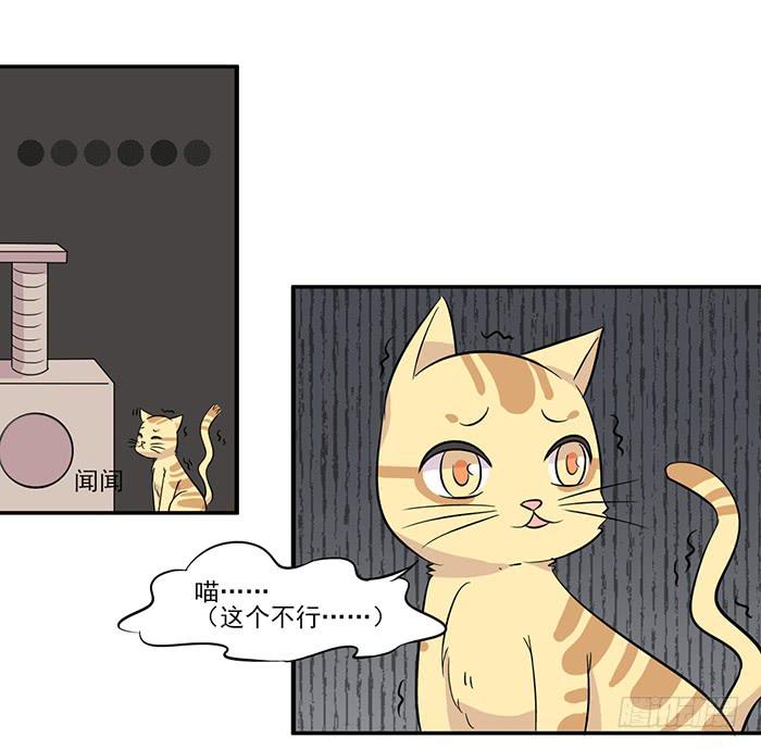 《双喵图腾》第015话 第16页