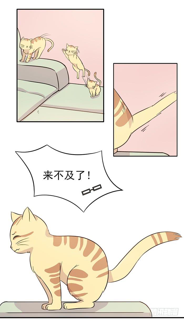 《双喵图腾》第015话 第20页