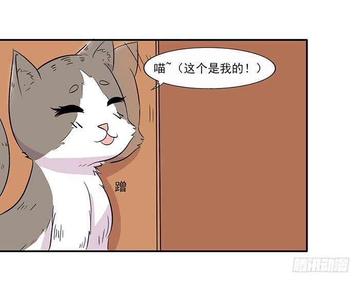 《双喵图腾》第015话 第9页