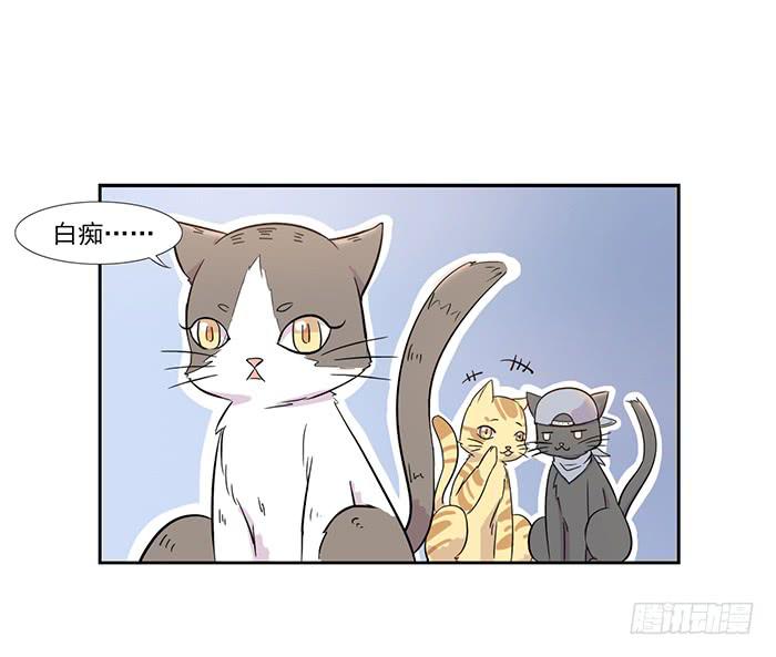 《双喵图腾》第014话 第11页