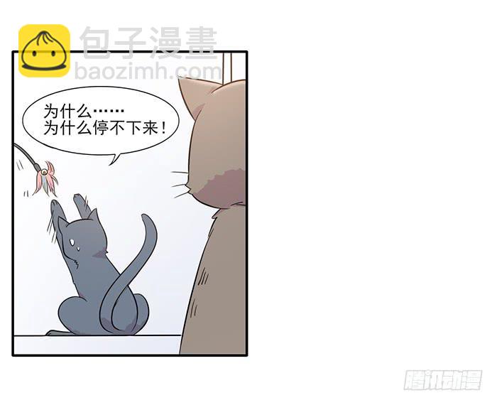《双喵图腾》第014话 第12页