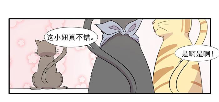 《双喵图腾》第014话 第13页