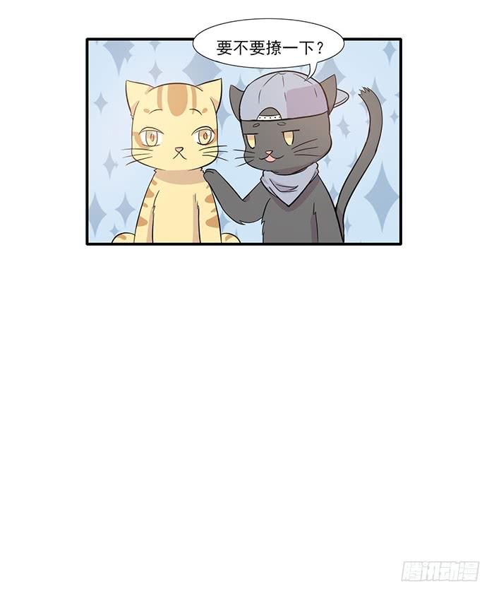 《双喵图腾》第014话 第14页