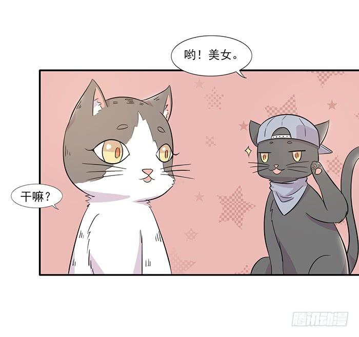 《双喵图腾》第014话 第17页