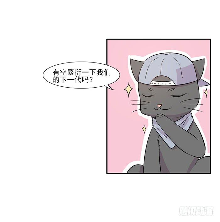 《双喵图腾》第014话 第18页
