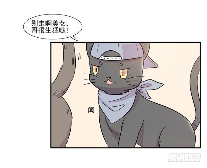 《双喵图腾》第014话 第20页