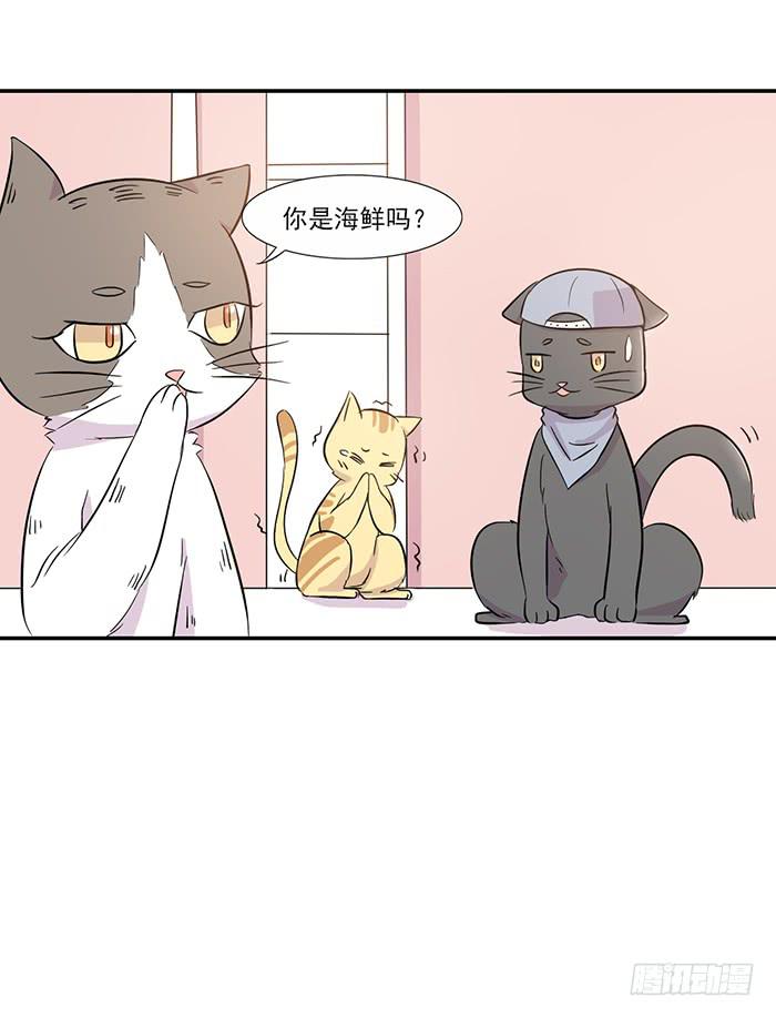 《双喵图腾》第014话 第21页