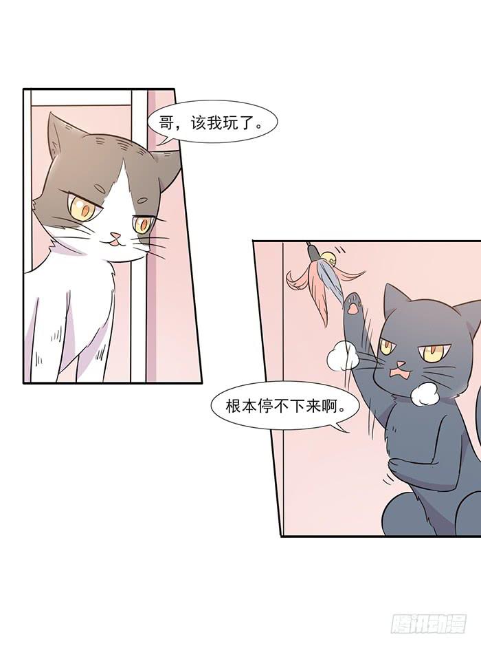《双喵图腾》第014话 第24页