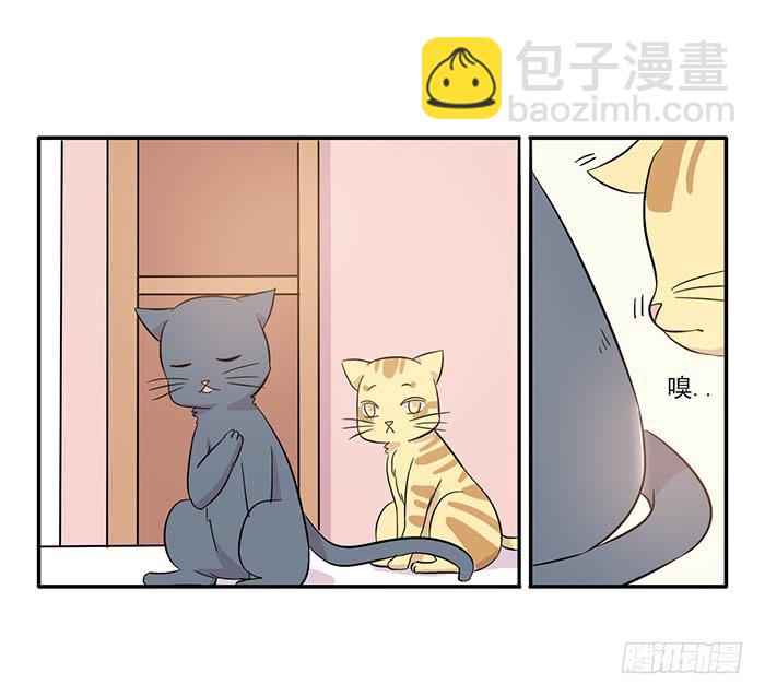 《双喵图腾》第014话 第25页