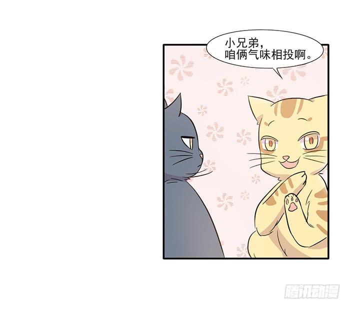 《双喵图腾》第014话 第26页