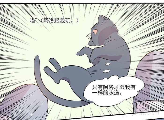 《双喵图腾》第014话 第32页