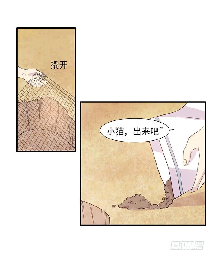 《双喵图腾》第013话 第10页