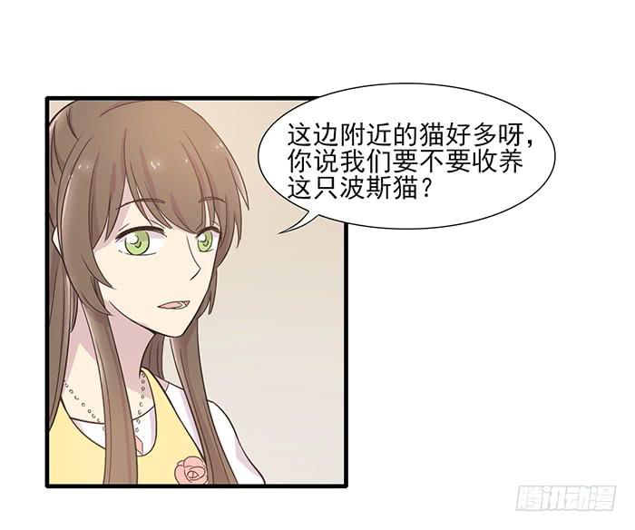 《双喵图腾》第013话 第14页