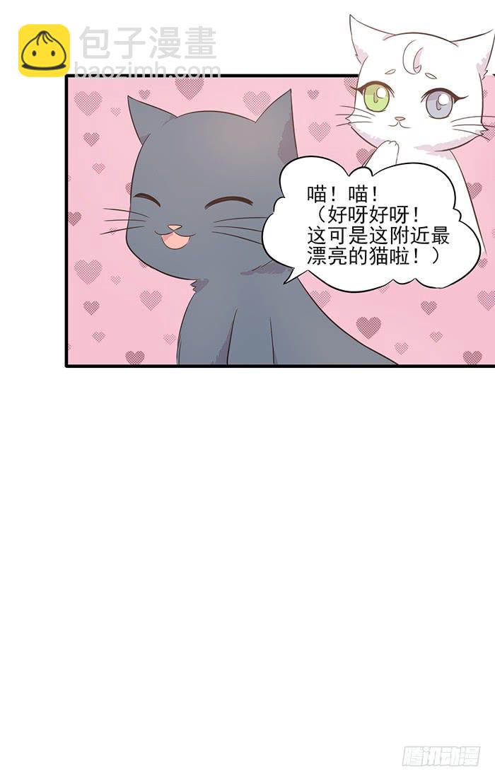 《双喵图腾》第013话 第15页