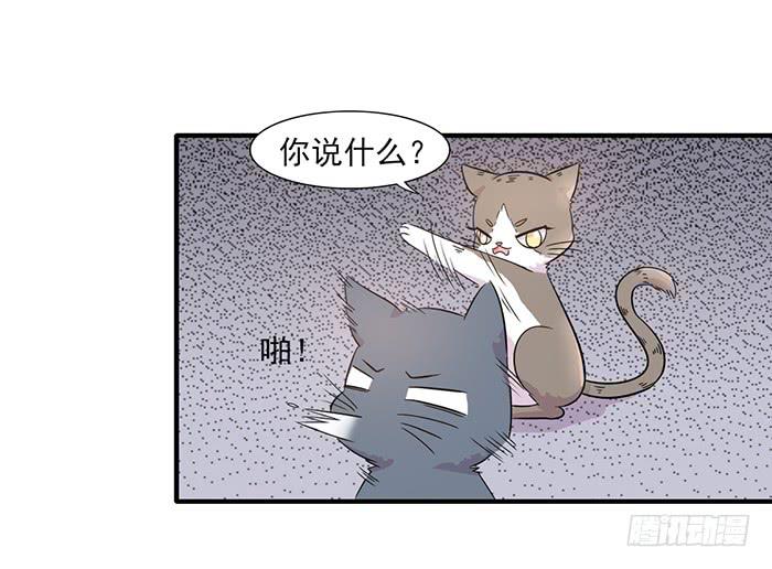 《双喵图腾》第013话 第16页