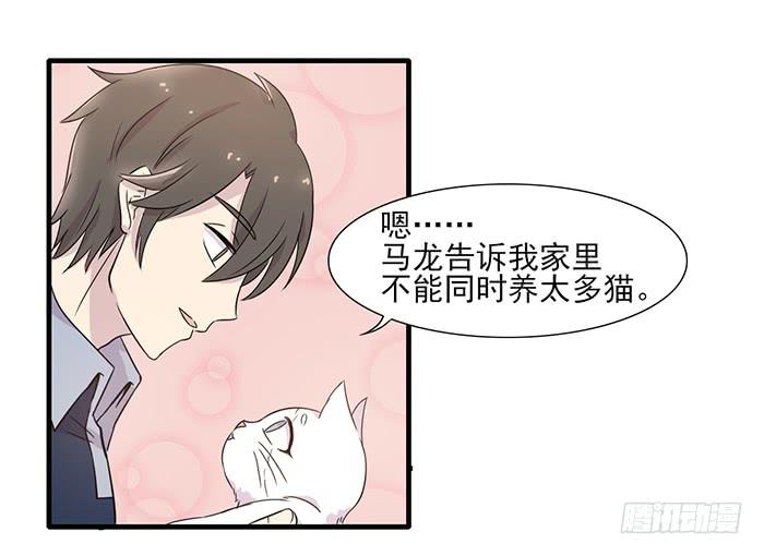 《双喵图腾》第013话 第17页