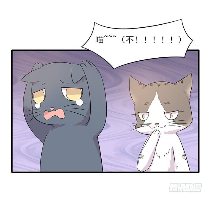 《双喵图腾》第013话 第19页