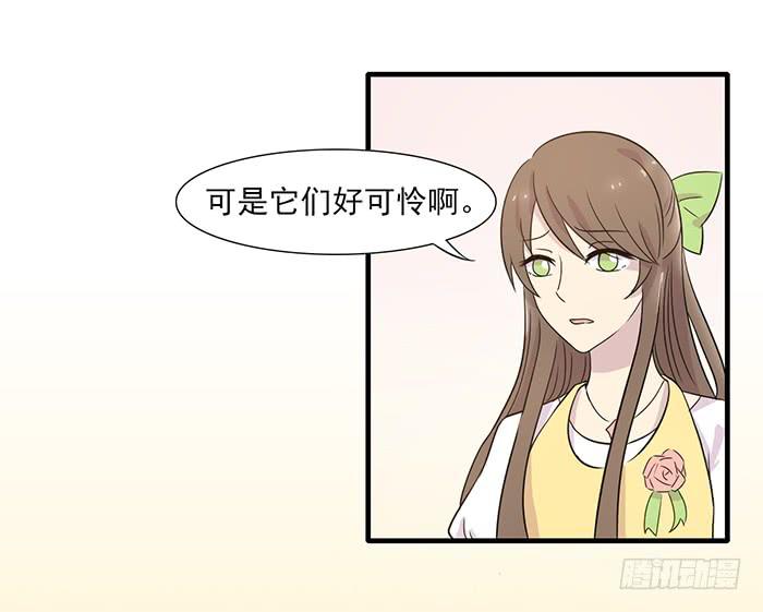 《双喵图腾》第013话 第20页