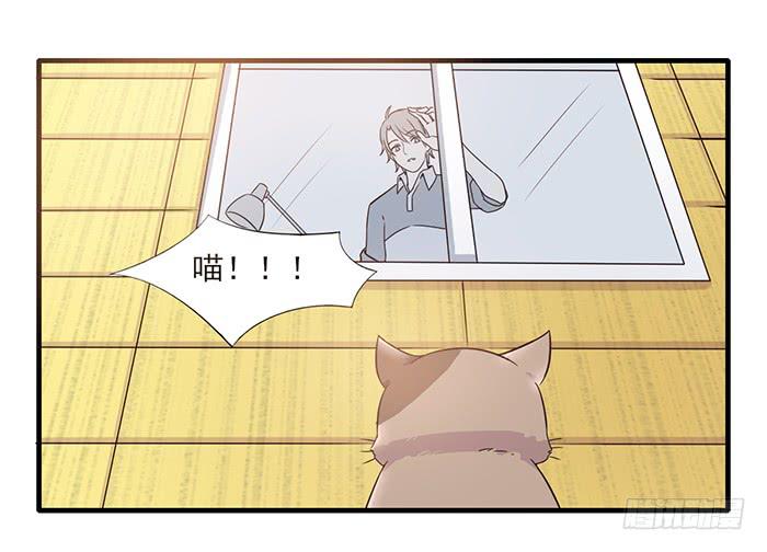《双喵图腾》第013话 第2页