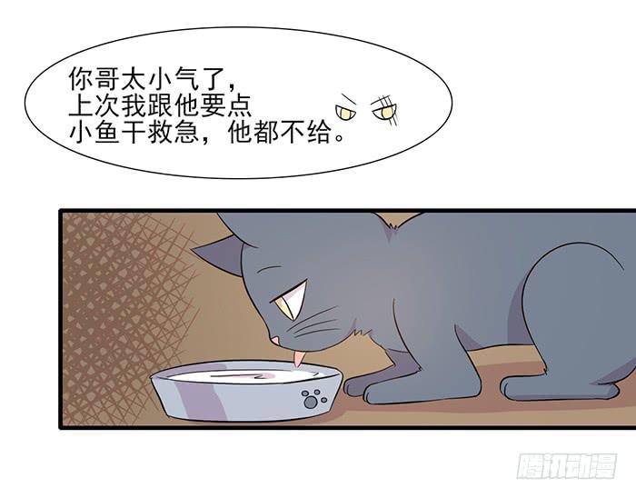 《双喵图腾》第013话 第31页