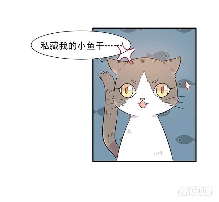 《双喵图腾》第013话 第32页