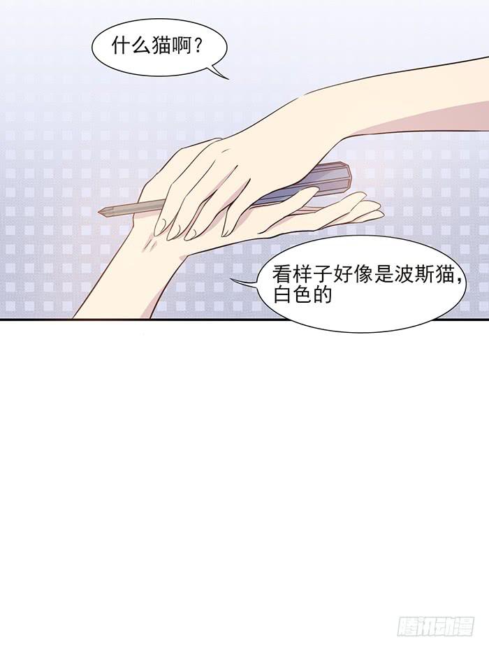 《双喵图腾》第013话 第8页