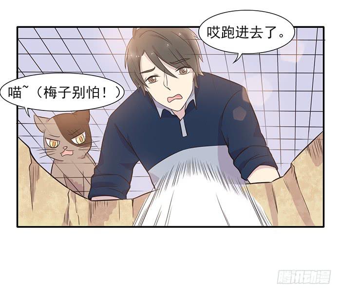 《双喵图腾》第013话 第9页